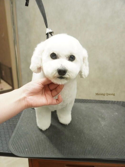 画像10032
