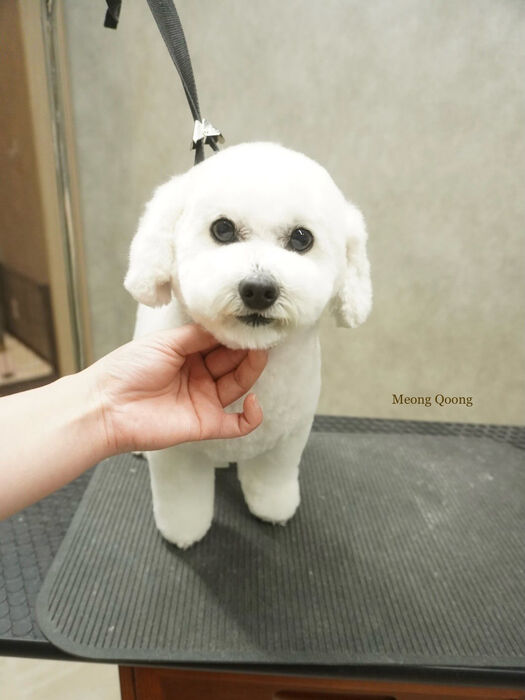 画像10033