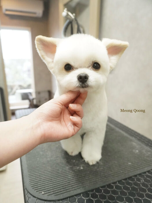画像10059