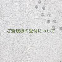 画像10154
