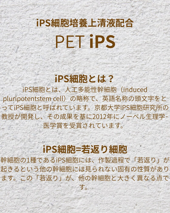 画像10212