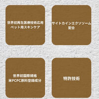 画像10213