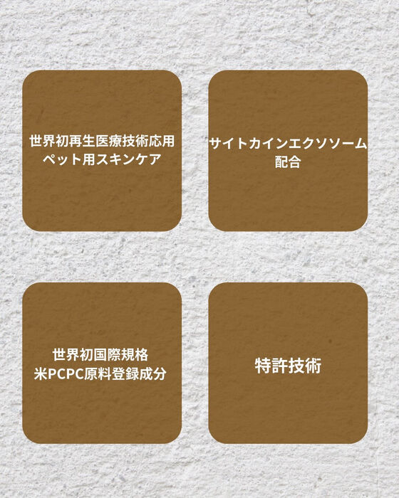 画像10213