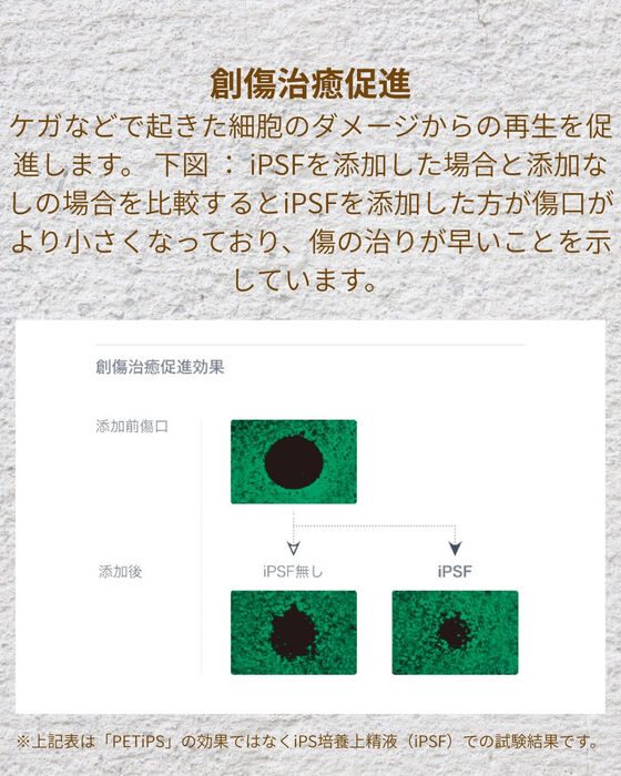 画像10216