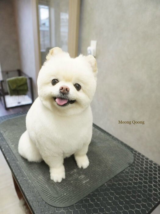 画像10334