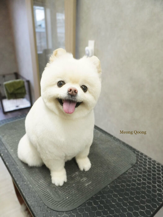 画像10335