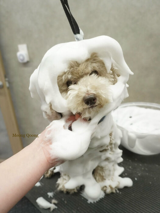 画像10348