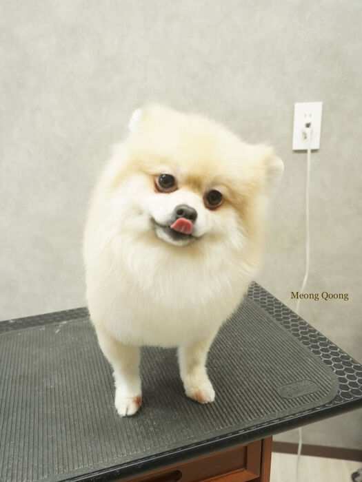 画像10417