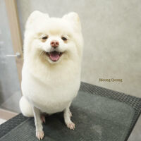 画像10482