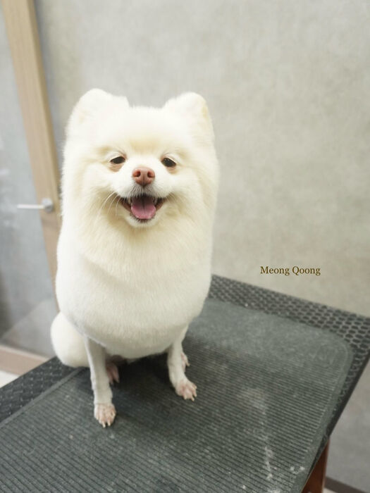 画像10482