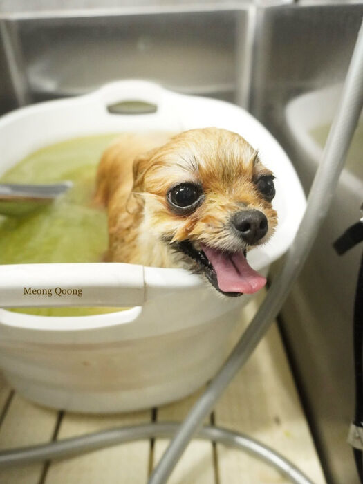 画像10513