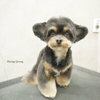 画像10575
