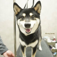 画像10642