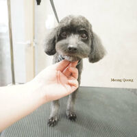 画像10672