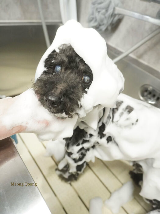 画像10684