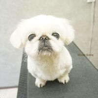 画像10714