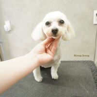 画像10742