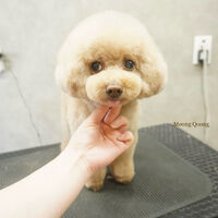 画像10833