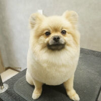 画像10844