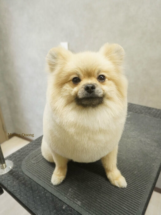 画像10844