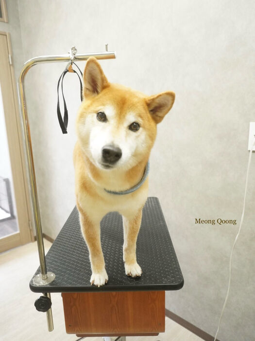 画像10849