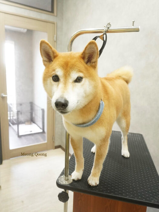 画像10850