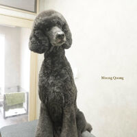 画像10935