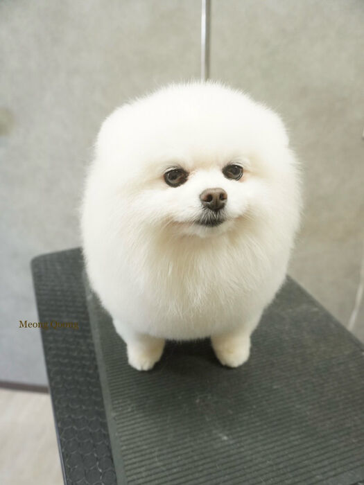 画像11008