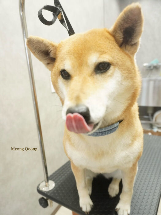 画像11018