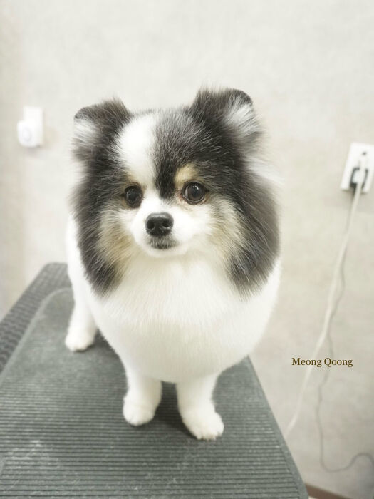 画像11022