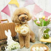 画像11027