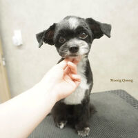 画像11038
