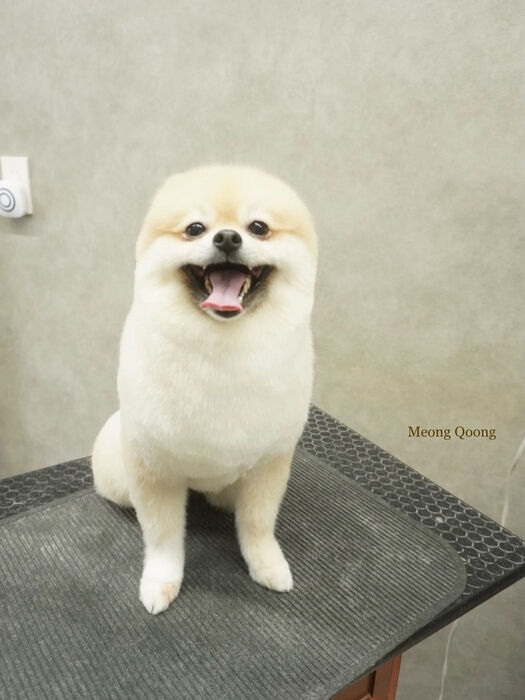 画像11142