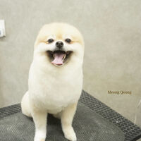 画像11143
