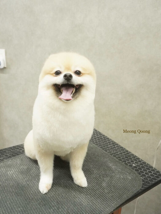 画像11143