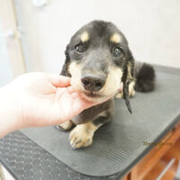 画像11191