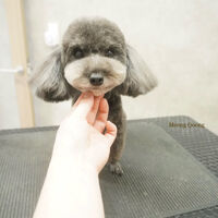 画像11197