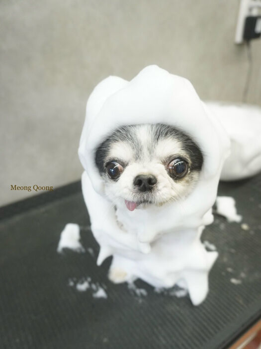 画像11212