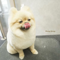 画像11428