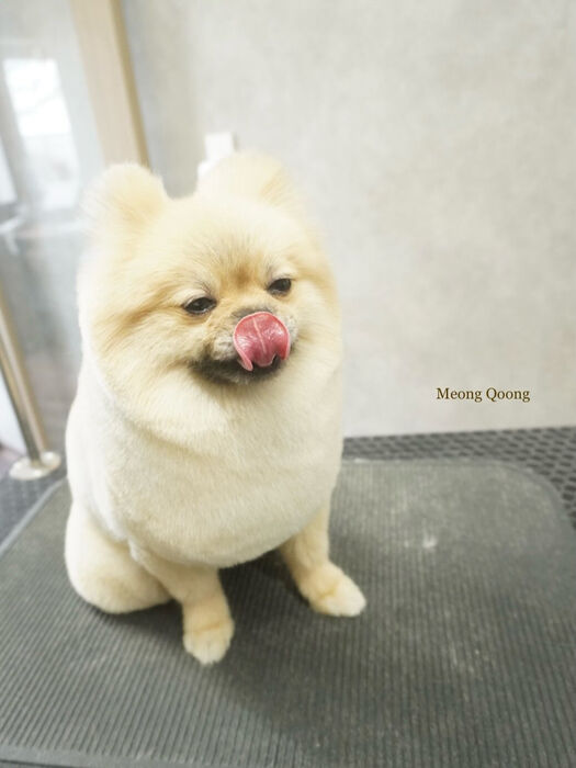 画像11428