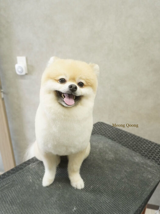 画像11433