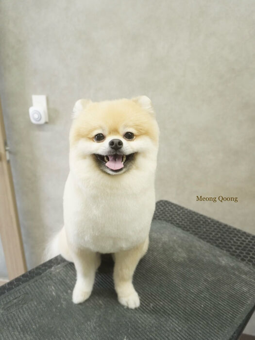 画像11434