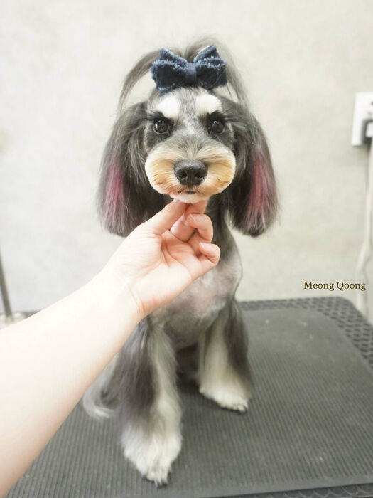画像11496