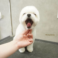 画像11520