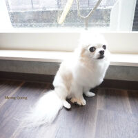 画像11589
