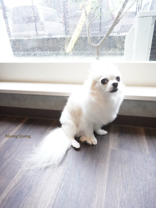 画像11589