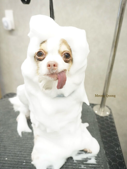画像11693