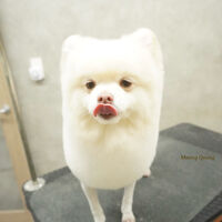 画像11698