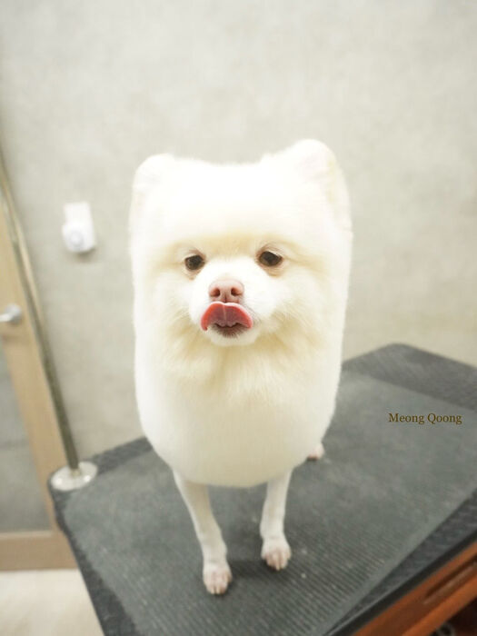 画像11698