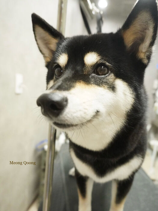 画像11701